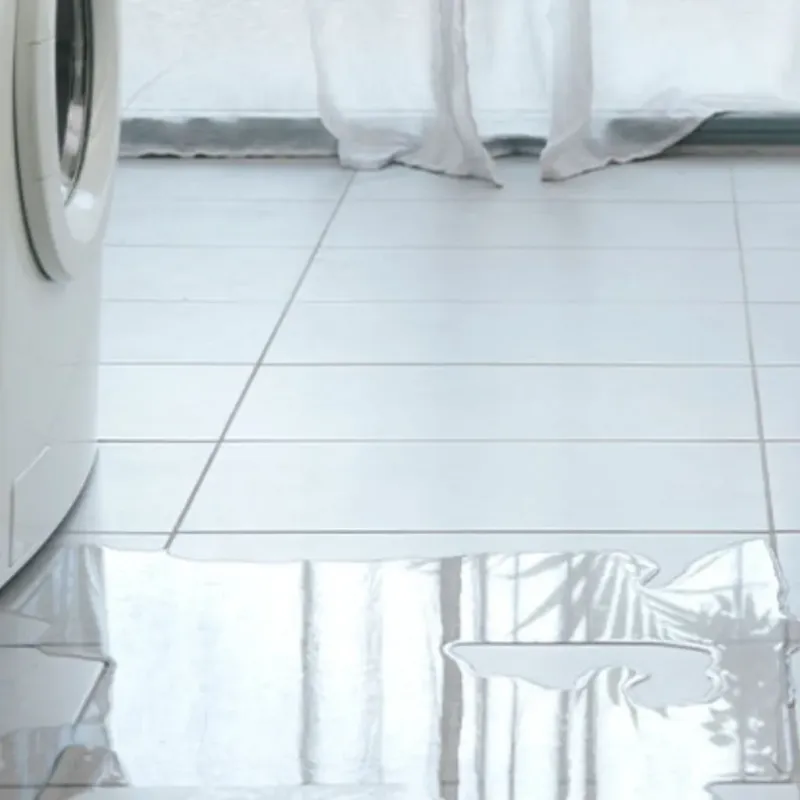 Appliance Leak Cleanup in Lancaster, SC